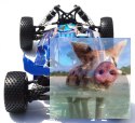 Spirit N2 Nitro 1:10 2.4GHz 4WD - R0080