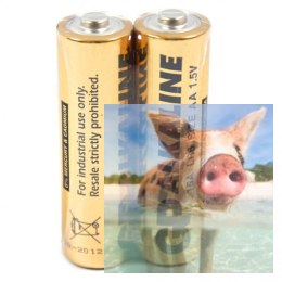 Bateria AA 1,5V GP Super Alkaline