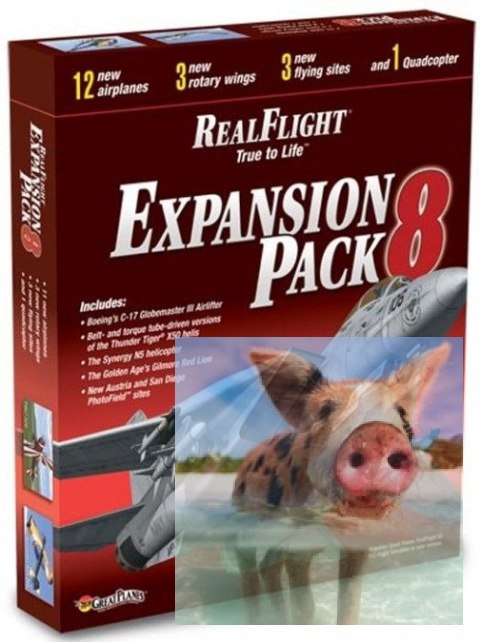 Expansion Pack 8 dodatek do symulatora RealFlight Expansion Pack 8 dodatek do symulatora RealFlight