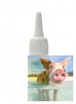 Klej do porcelany 5g Stanger Klej do porcelany 5g Stanger