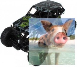 Rock Crawler 4WD 1:10 - Zielony - POSERWISOWY (uszkodzona elektronika)
