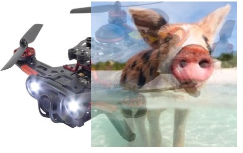 Runner 250 PRO RTF2 (DEVO 7, kamera HD 800TVL, akumulator, ładowarka, transmisja FPV, GPS, OSD) - POSERWISOWY Runner 250 PRO RTF2 (DEVO 7, kamera HD 800TVL, akumulator, ładowarka, transmisja FPV, GPS, OSD) - POSERWISOWY