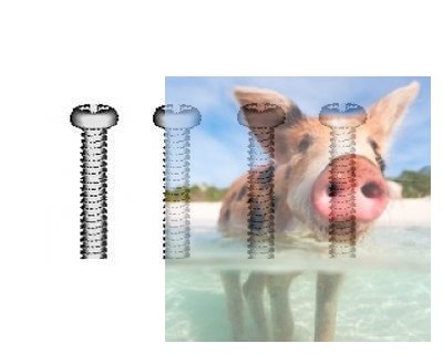 Śruby samogwintujące z zaokrągloną główką 3*18mm 4szt - 86076 Śruby samogwintujące z zaokrągloną główką 3*18mm 4szt - 86076