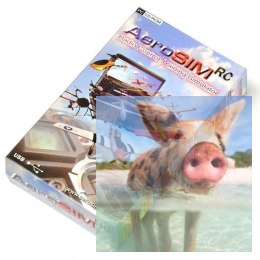 Symulator lotu AeroSIM RC