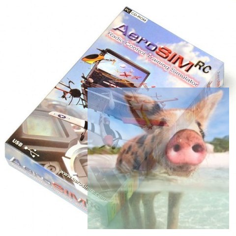 Symulator lotu AeroSIM RC Symulator lotu AeroSIM RC