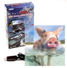 Symulator lotu AeroSIM RC