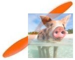 Śmigło GWS 9x4,7 Lewe Śmigło GWS 9x4,7 Lewe