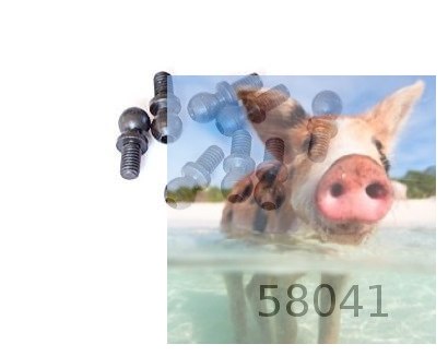 Śrubka z łbem kulistym 8 szt. - 58041 Śrubka z łbem kulistym 8 szt. - 58041