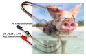 Regulator napięcia DWhobby UBEC Dual R/C 5V 6.2V 7.4V (sterowane PWM, miernik prądu)
