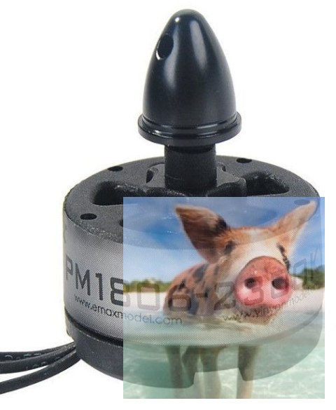 Silnik EMAX Plastic PM1806 2300KV CCW Silnik EMAX Plastic PM1806 2300KV CCW