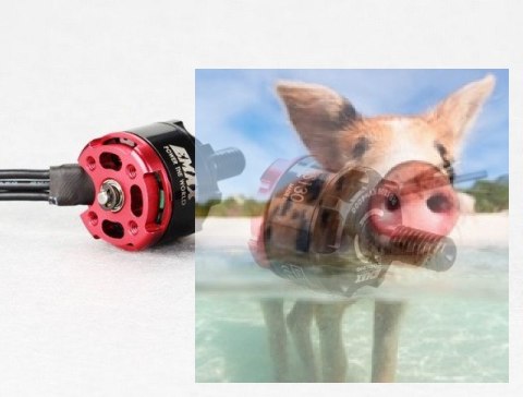 Silnik EMAX RS1306 4000KV RaceSpec CCW Silnik EMAX RS1306 4000KV RaceSpec CCW