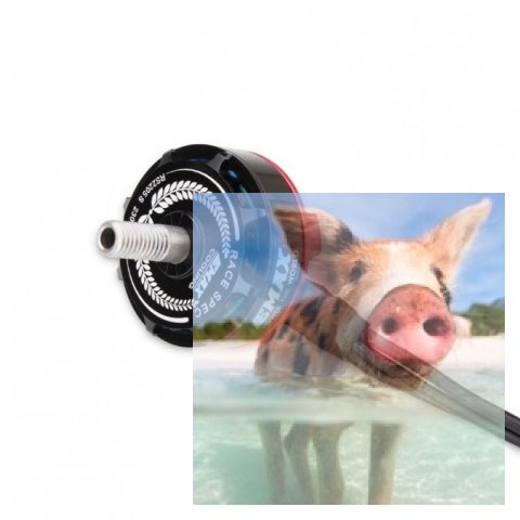 Silnik EMAX RS2205S RaceSpec Motor - Cooling Series KV2300 Silnik EMAX RS2205S RaceSpec Motor - Cooling Series KV2300