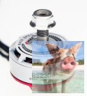 Silnik EMAX RS2306 2750KV RaceSpec White Editon