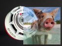Silnik EMAX RS2306 2750KV RaceSpec White Editon