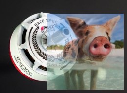 Silnik EMAX RS2306 2750KV RaceSpec White Editon