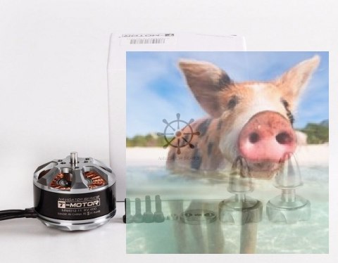 Silnik bezszczotkowy T-MOTOR MN4012 400kV Silnik bezszczotkowy T-MOTOR MN4012 400kV