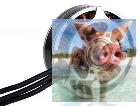 Silnik bezszczotkowy T-MOTOR MN5208 340kV Silnik bezszczotkowy T-MOTOR MN5208 340kV