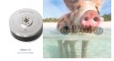 Zestaw dwóch silników bezszczotkowych T-MOTOR MN605-S 320kV