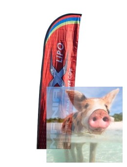 Banner ManiaX