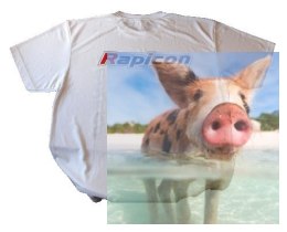 Koszulka RAPICON - rozmiar 3XL