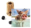 Zębatka mosiężna 14T 0.5M H12, otwór 3.0mm