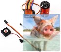 Zestaw SkyRc Cheetah - reg. obrotów 60A + silnik bezszczotkowy 3250KV 10.5T + karta prog.