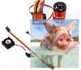 Zestaw SkyRc Cheetah - reg. obrotów 60A + silnik bezszczotkowy 3250KV 10.5T + karta prog.