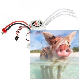Silnik bezszczotkowy Rocket Platinum 2845 4370KV + ESC 45A