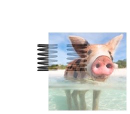 Sprężyny tylnego amortyzatora 2 szt.
