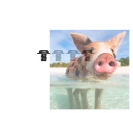 Śruba samogwintująca z pierścieniem 2.5*4 4 szt.